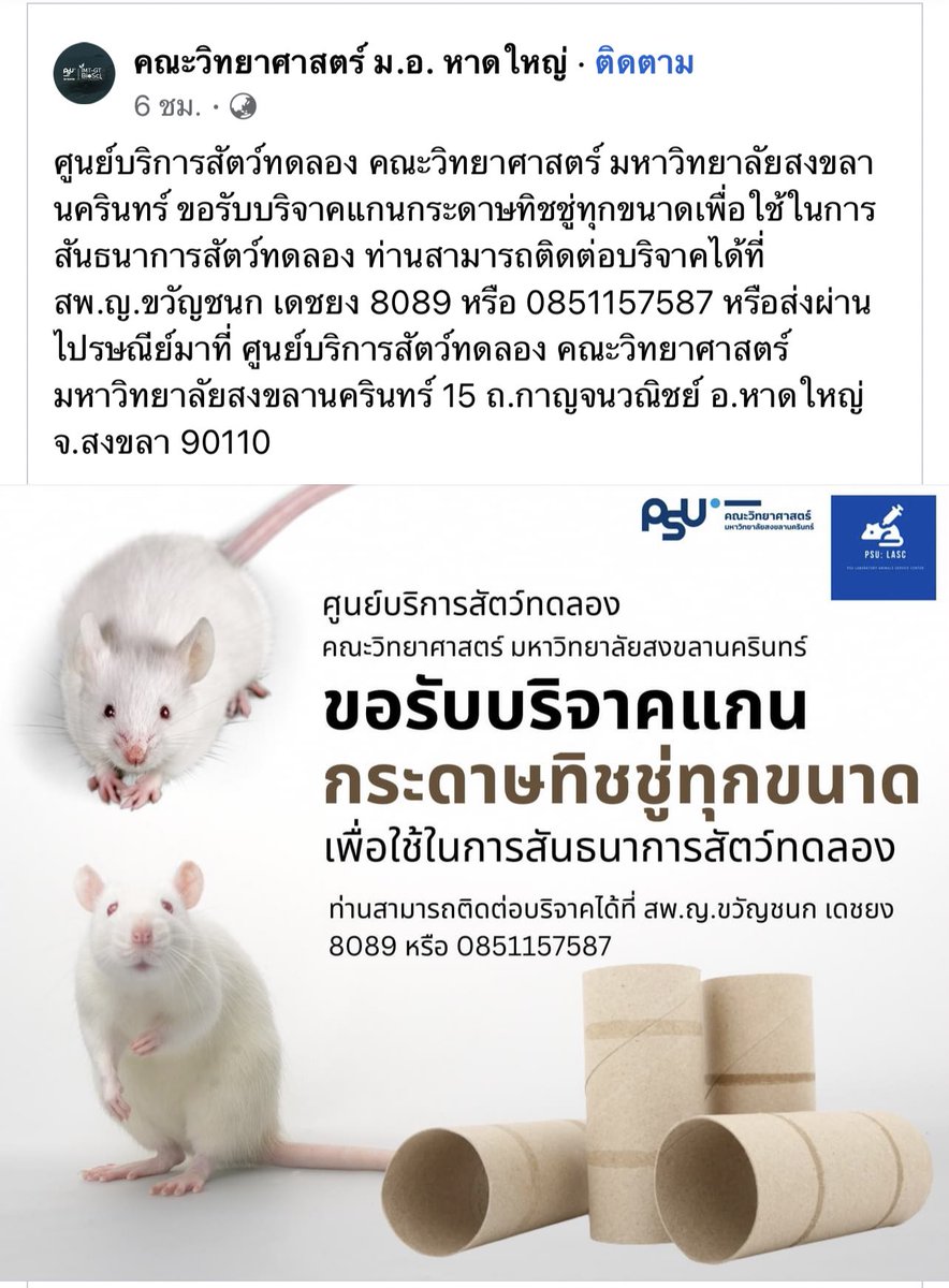 Chu_OnlineNews's tweet photo. ขอรับบริจาค “แกนกระดาษทิชชู่ทุกขนาด” เพื่อใช้ในการสันธนาการสัตว์ทดลอง 

ติดต่อบริจาคได้ที่ สพ.ญ.ขวัญชนก เดชยง 8089 หรือ 0851157587 หรือส่งผ่านไปรษณีย์มาที่ ศูนย์บริการสัตว์ทดลอง คณะวิทยาศาสตร์ มหาวิทยาลัยสงขลานครินทร์ 15 ถ.กาญจนวณิชย์ อ.หาดใหญ่ จ.สงขลา 90110 https://t.co/HNRiQsQgZJ