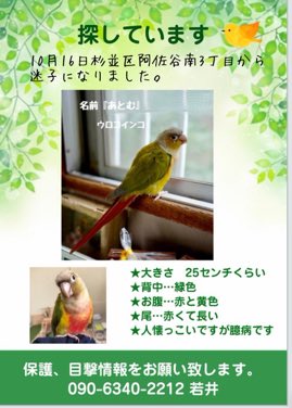 17Mh03tlyLBbM9J's tweet photo. お願いします。
とても❣️とても❣️大切な子です❣️
飼い主さんが一生懸命探してみえます。
小さな情報でもご連絡くだされば幸いです。
よろしくお願いします。m(_ _)m https://t.co/qMF1bo5zLF