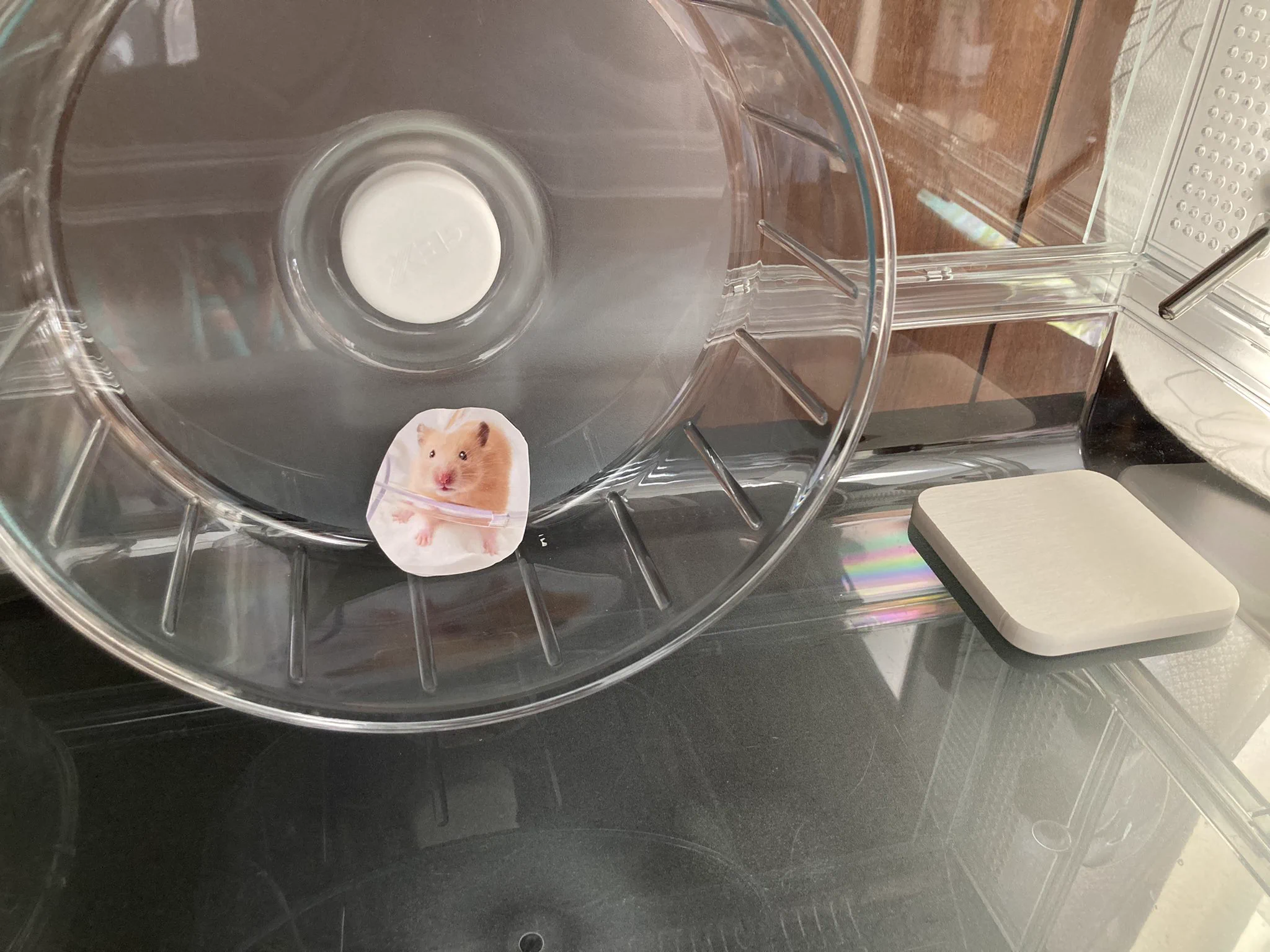 @KinokinoTwins 暫く飼っちゃいますよね 