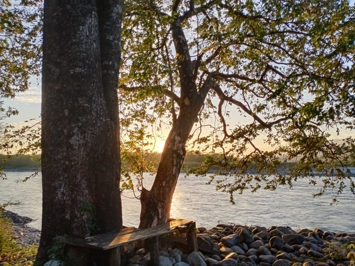 Borokha7's tweet image. কিছু সময় নিজৰ সৈতে 🍃