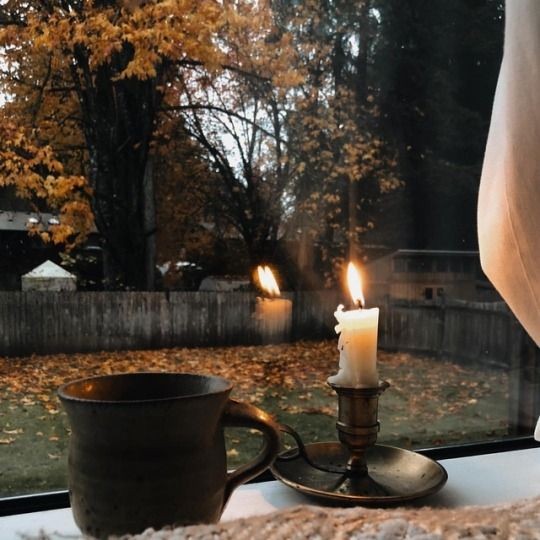 mycelticmoon's tweet photo. November. https://t.co/EjEgxtvGkn