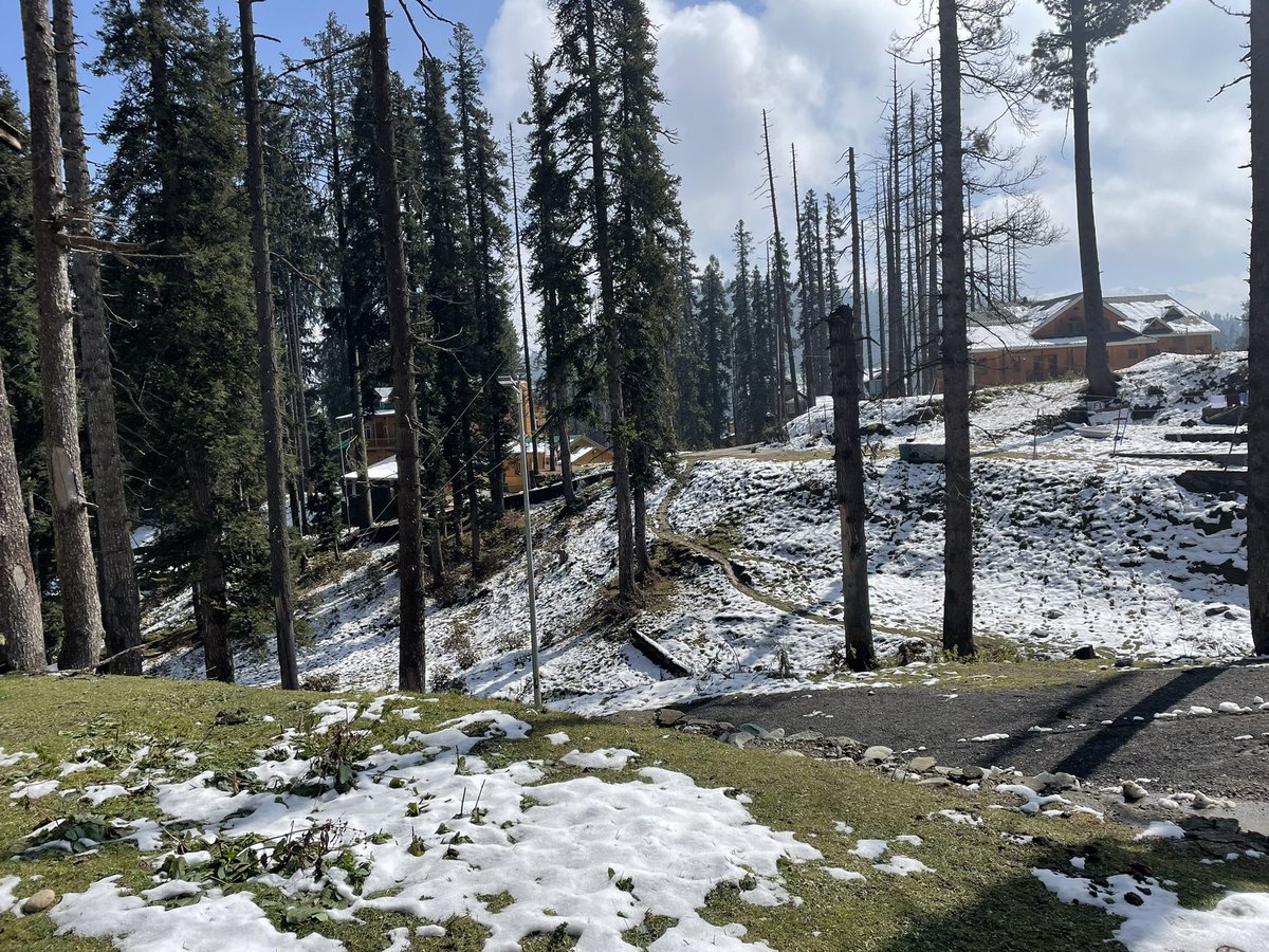GRamadevi10's tweet photo. Straight from the lofty green mountains of Himalayas💚

#Kashmir the natural beauty🤍
#Incredibleindia https://t.co/VWp0bCZ42F