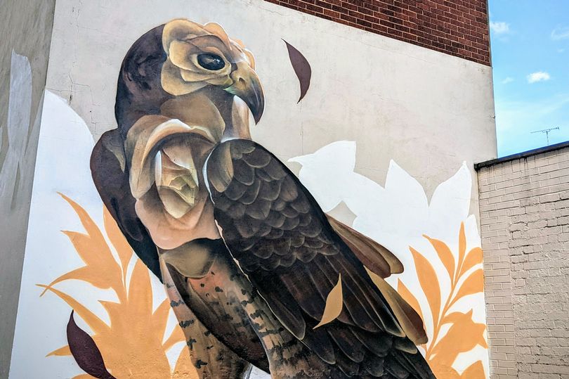 We❤️this new street art - The fox family &amp; peregrine falcon can be found on the IDP Architects building in Spon Street and can be viewed in all it's glory here at Skydome! The piece was produced by Street Art Strategy &amp;  is part of the City of Culture 'Green Futures' campaign!