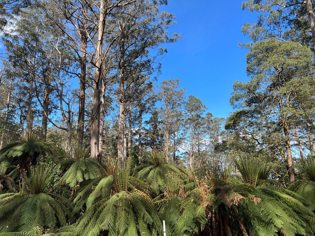 Cameron Tasker tweet media