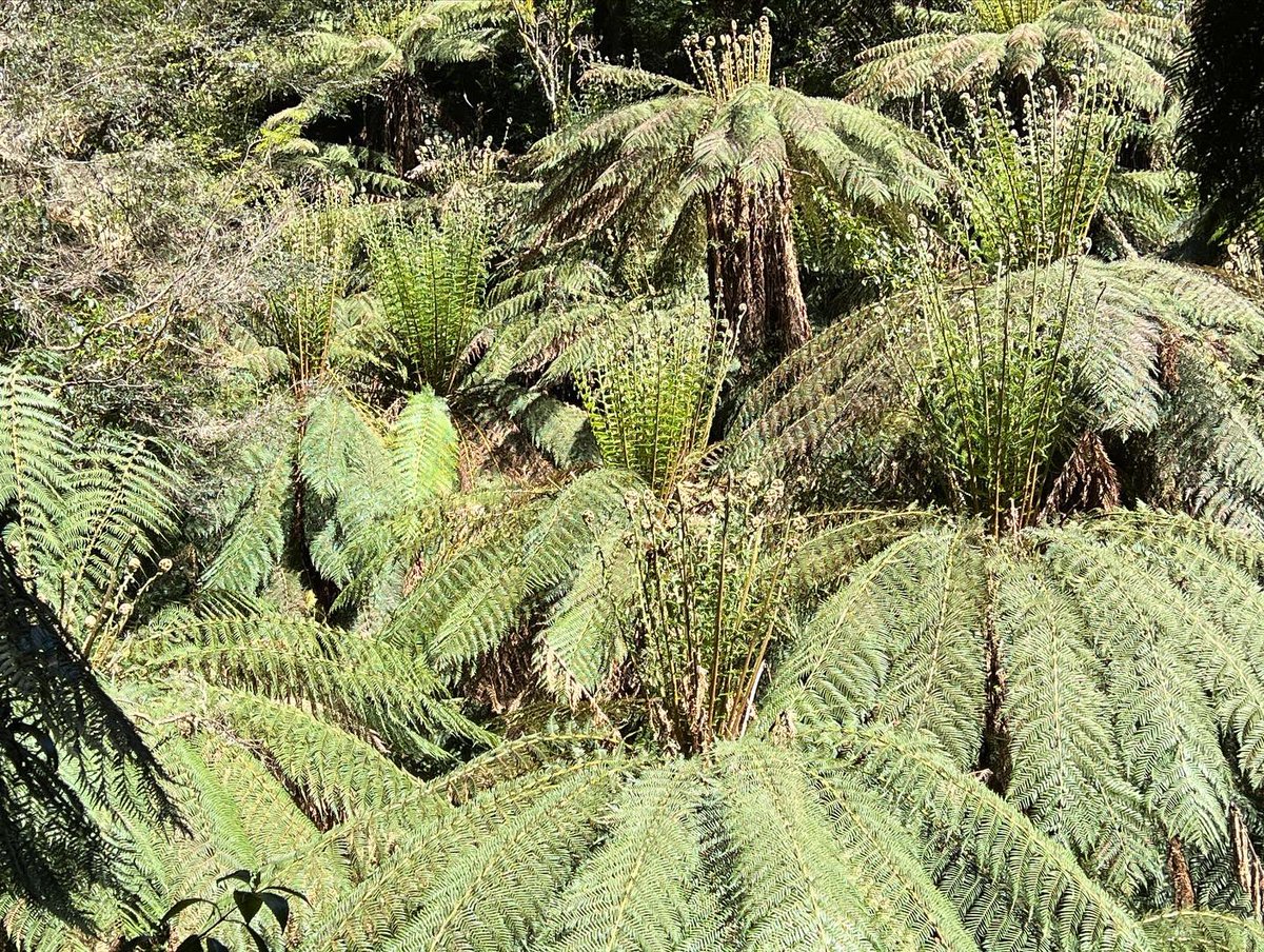 Cameron Tasker tweet media