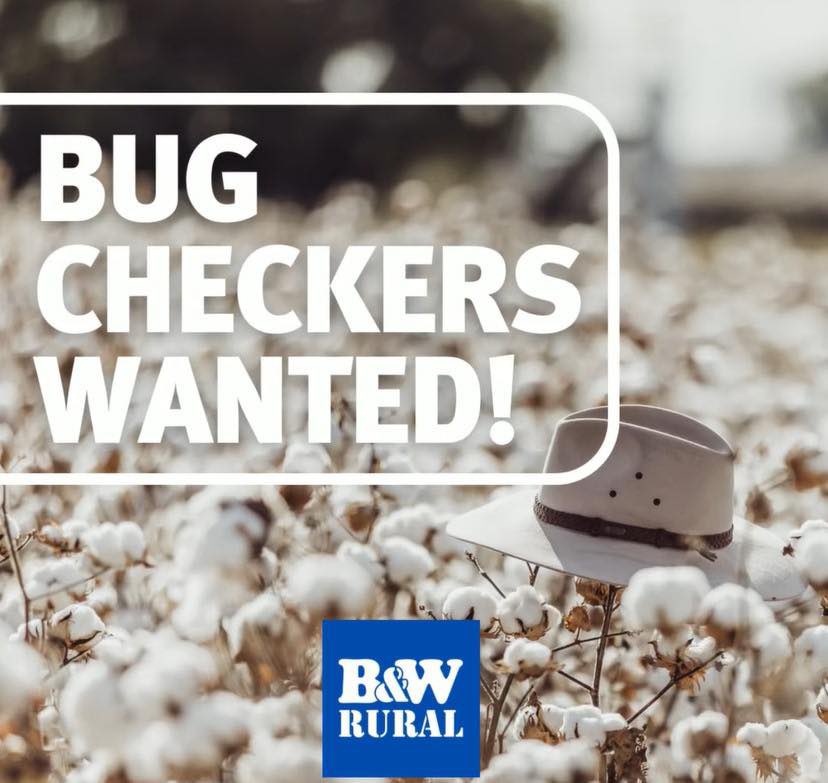 B&W Rural tweet media