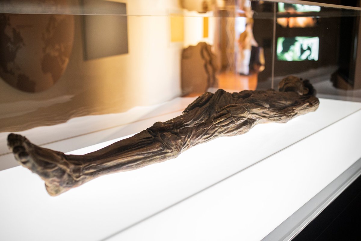 MuseosTenerife's tweet photo. 💀 El Museo de Naturaleza y Arqueología (#MUNA) abre un nuevo módulo para exponer una réplica de la momia guanche que se encuentra en el Museo Arqueológico Nacional de Madrid. #MuseosdeTenerife @CabildoTenerife https://t.co/PNrU4PDJY5