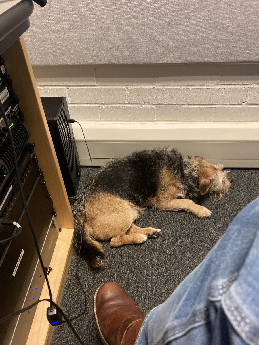 Julie Skentelbery tweet media