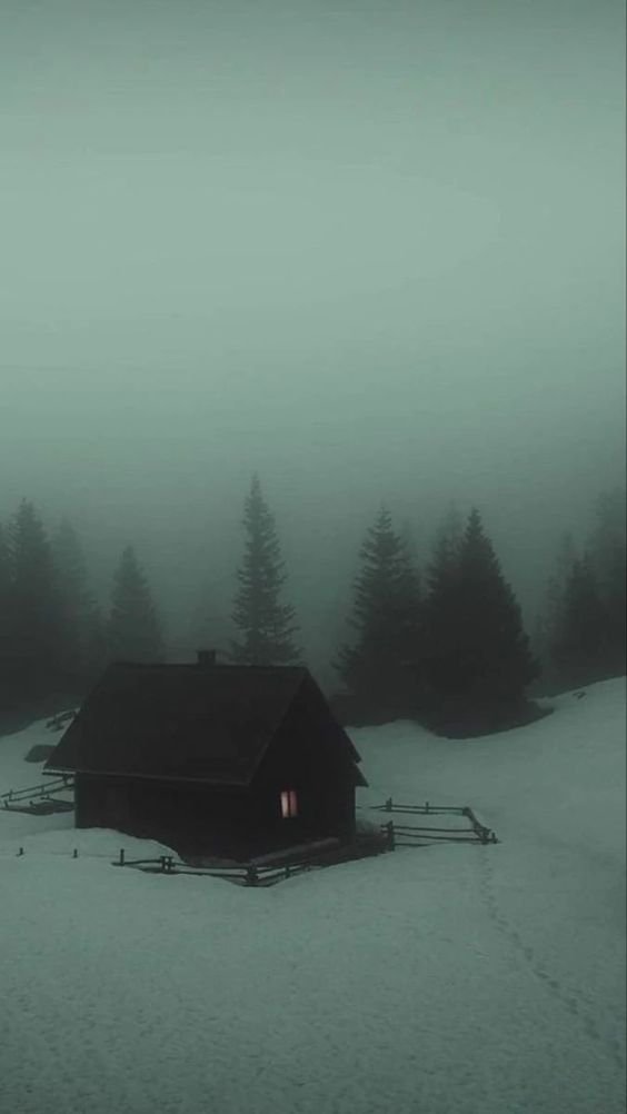 gIoomyweather's tweet image. cabin.