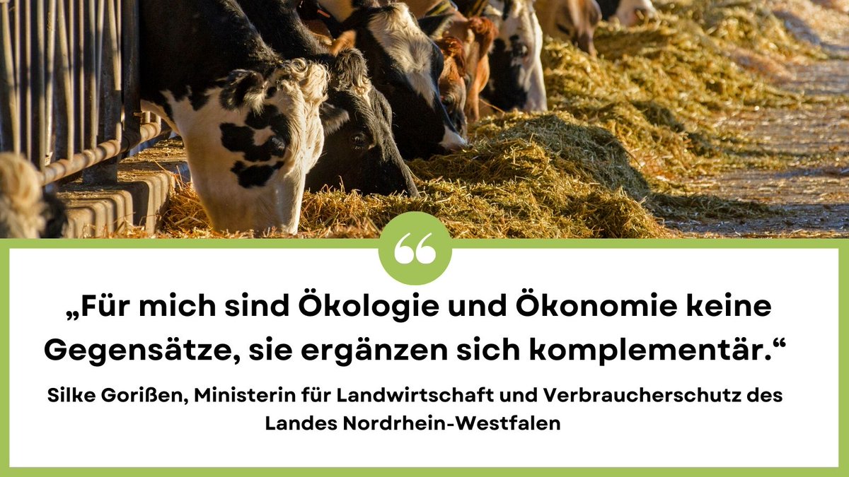 DialogMilch's tweet photo. Nach #Ministerin Gorißen braucht es für die Erhaltung der #Milcherzeugung verlässliche und langfristige Perspektiven für die Betriebe, die aber einhergehen müssen mit den Zielen des #Tierwohls und #Klimaschutzes.
#DialogMilch @MLVNRW https://t.co/WvSMYQJAY1