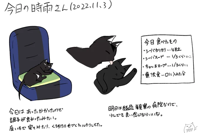 今日は何回か起きてきて定期的に甘えてきた日だった 