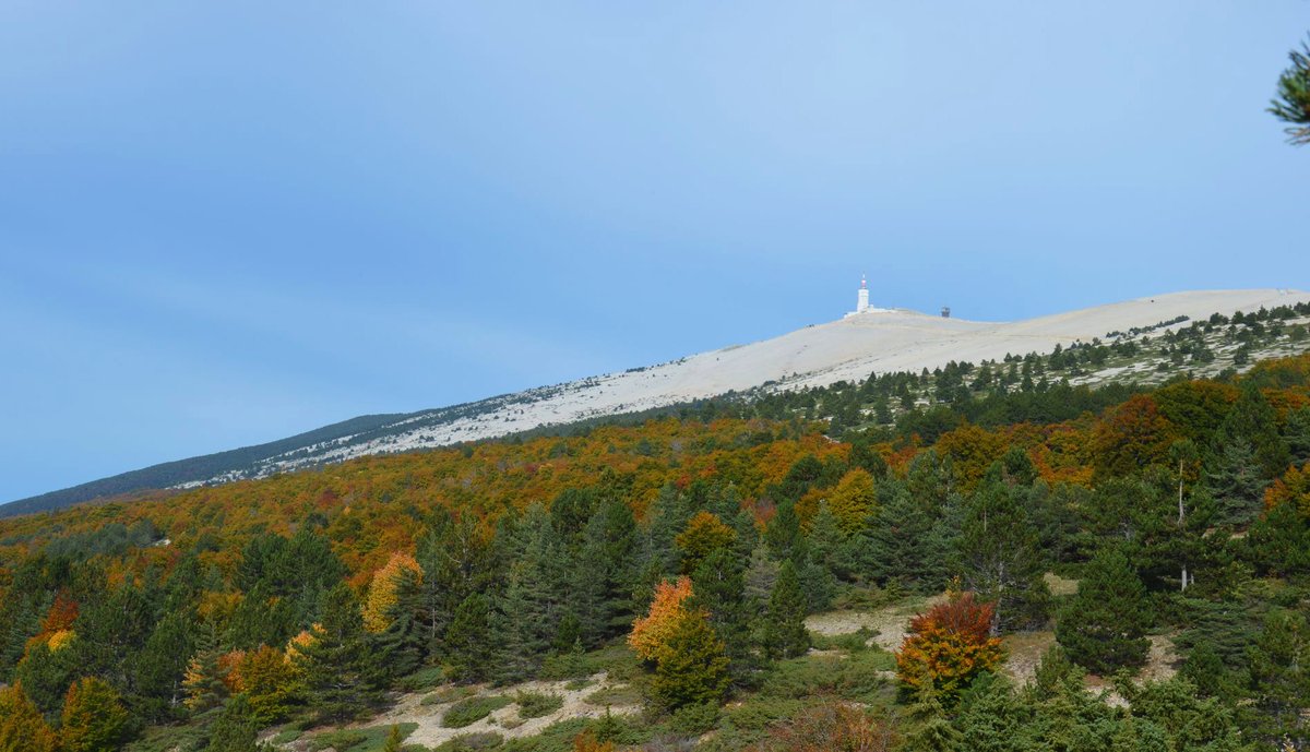 L'automne est là autour du Mont Ventoux ! Et nous ravit de ses explosions de couleurs... 

#ventouxprovence #ventoux #automne #NaturePhotography