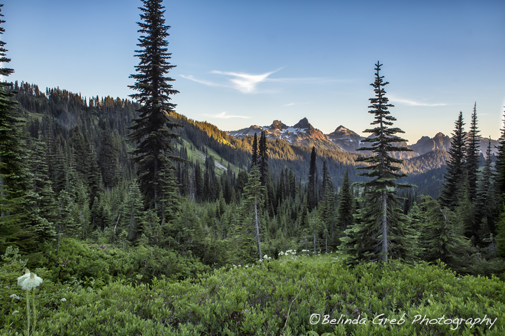 BelindaGreb's tweet image. ...become so...free that your very existence is an act of rebellion. –Camus  belinda-greb.pixels.com/featured/view-…
#photography