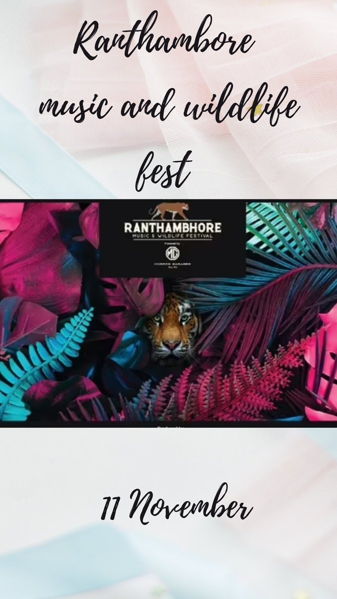 brewing_buzz's tweet photo. What could be better than music along with wildlife!! #Rantgambhore  #MusicandWildlifefest on #November11
#musicfest2022 #FestinNovember
#wildlife #festwithwildlife #musicevent https://t.co/UHToUiAJOw
