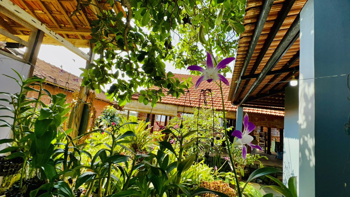 Holysecrethouse's tweet photo. Trần Bích Vân người sáng lập và đầu tư kiêm đại sứ thương hiệu Holy secret house https://t.co/abjFD8MMKl