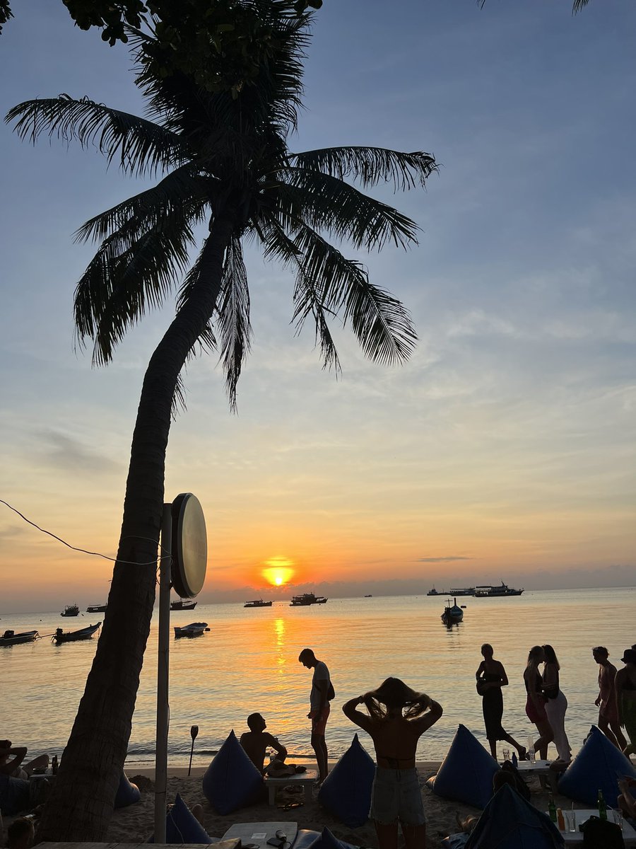 WILL0W 🧜♀️🌿🌻 tweet media