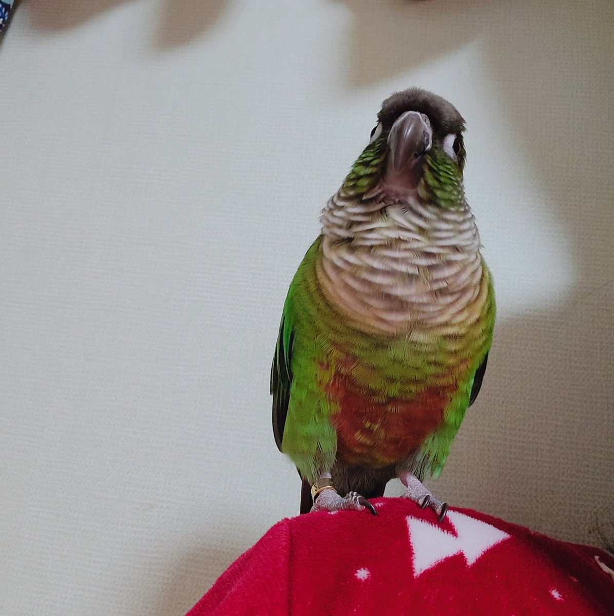 엄마 어깨가 최고야