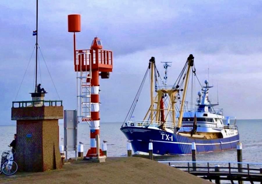 Fup Boon tweet media