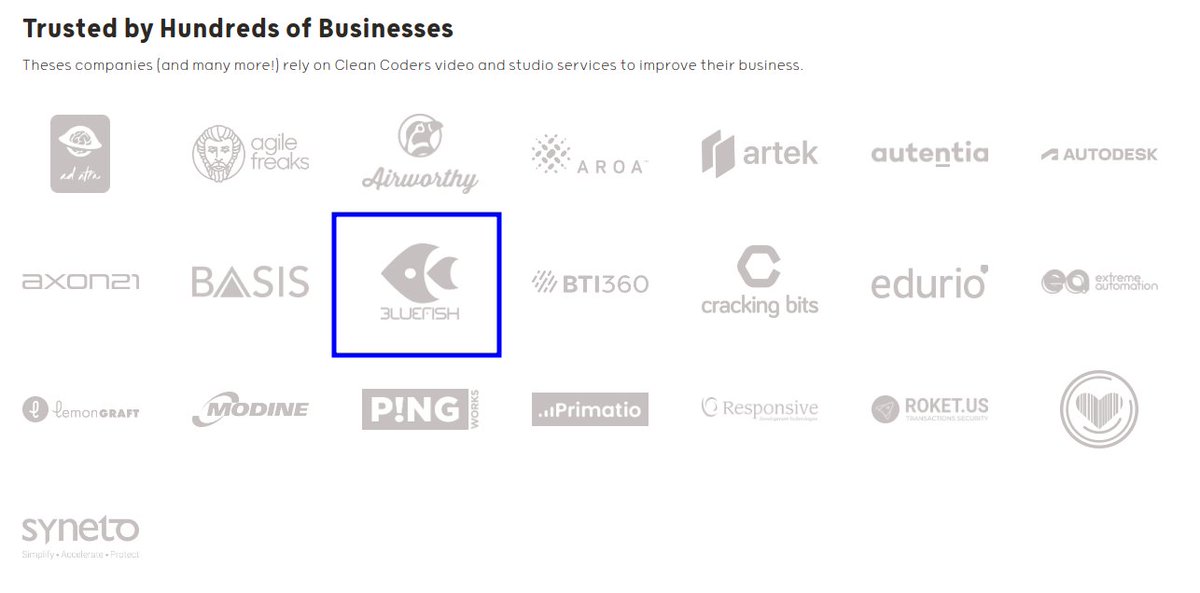 Bluefish tweet media