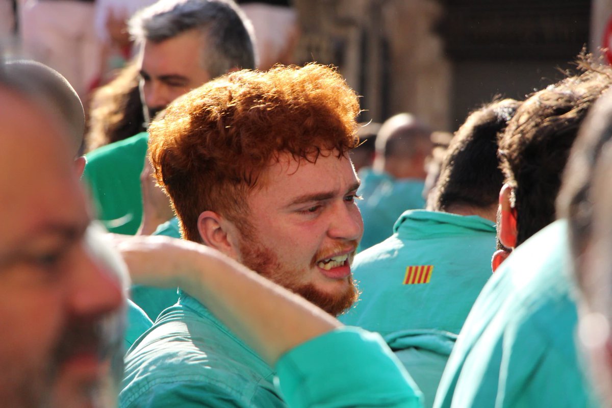 (OƎ⊥) ʎuɐʇsɐƆ pıʌɐᗡ tweet media