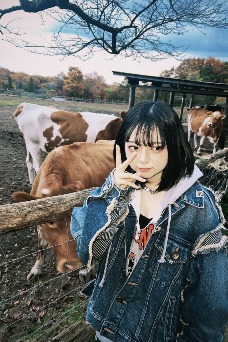 kodakkugasuki's tweet photo. 牧場行ってきた🐮 https://t.co/LErmFgcFPM