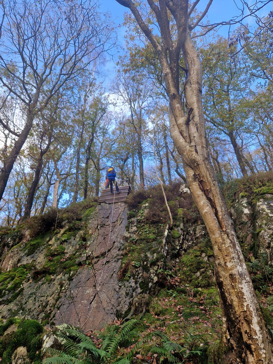 BLSLakeside2022 tweet media