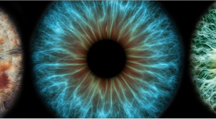 EuCornea's tweet photo. Endophthalmitis related to face masks, what have we learnt? Via Eye Nature https://t.co/rPlZcMzgem https://t.co/KSeyOeikX8