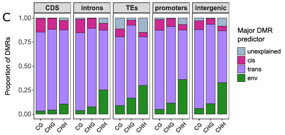 Finally, by partitioning DNA methylation variance, we observed that genetics always explains more than the climate of origin, but the proportion of DMRs best explained by the climate depends on the context and is quite high in CHH!