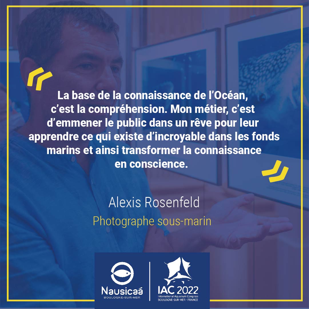 Nausicaá tweet media