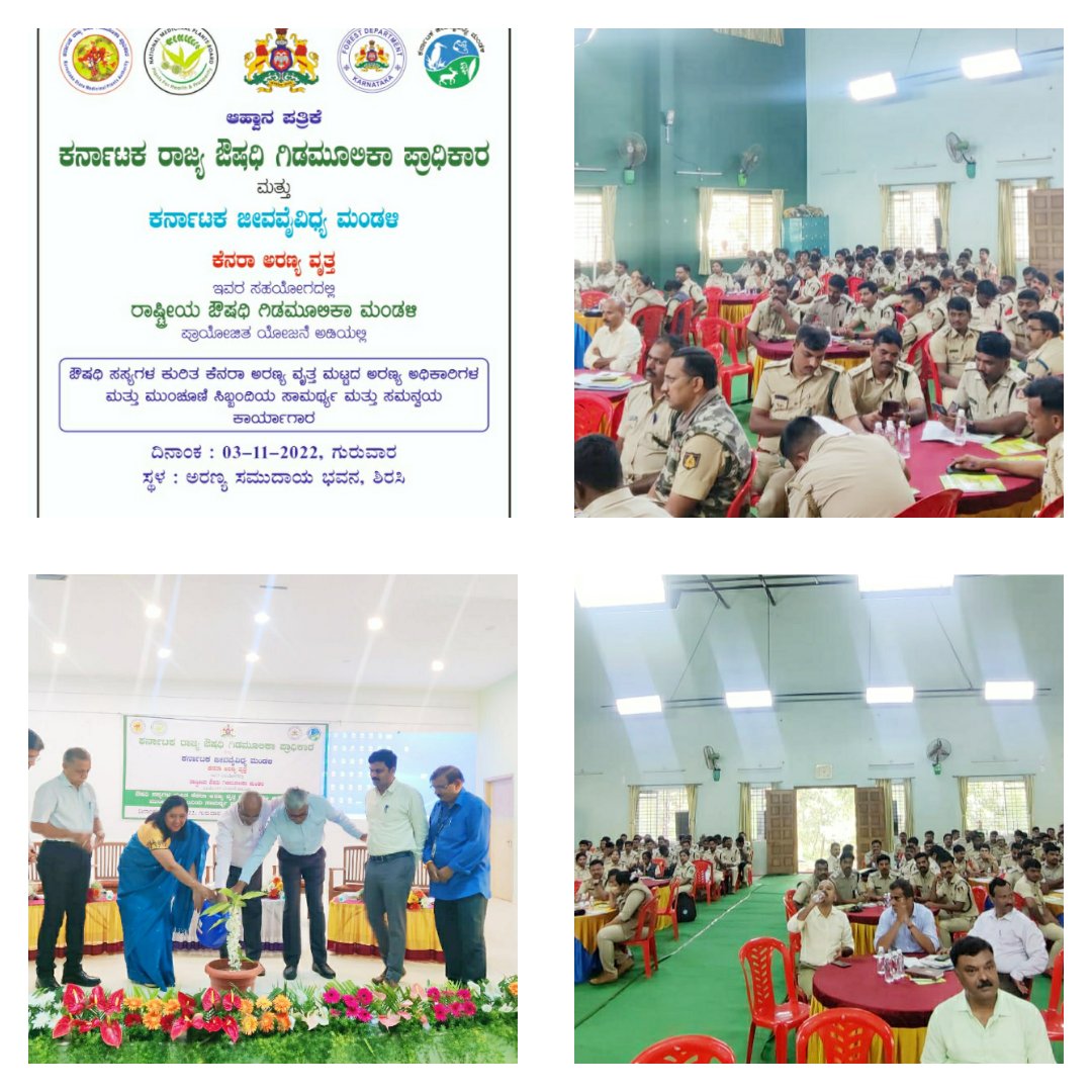 kanara_kfd's tweet photo. ಕರ್ನಾಟಕ ರಾಜ್ಯ ಔಷಧಿ ಗಿಡಮೂಲಿಕಾ ಪ್ರಾಧಿಕಾರ ಮತ್ತು  ಕರ್ನಾಟಕ ಜೀವವೈವಿಧ್ಯ ಮಂಡಳಿ,ಕೆನರಾ ಅರಣ್ಯ ವೃತ್ತ. ಇವರ ಸಹಯೋಗದಲ್ಲಿ ರಾಷ್ಟ್ರೀಯ ಔಷಧಿ ಗಿಡಮೂಲಿಕಾ ಮಂಡಳಿ,ಪ್ರಾಯೋಜಿತ ಯೋಜನೆ ಅಡಿಯಲ್ಲಿ ಔಷಧಿ ಸಸ್ಯಗಳ ಕುರಿತ ಕಾರ್ಯಗಾರವನ್ನು ದಿನಾಂಕ:03-11-2022 ರಂದು ಅರಣ್ಯ ಸಮುದಾಯ ಭವನ, ಶಿರಸಿಯಲ್ಲಿ ಹಮ್ಮಿಕೊಳ್ಳಲಾಯಿತು.@KFD_aranya@CirKfd https://t.co/8OXctxnxhl