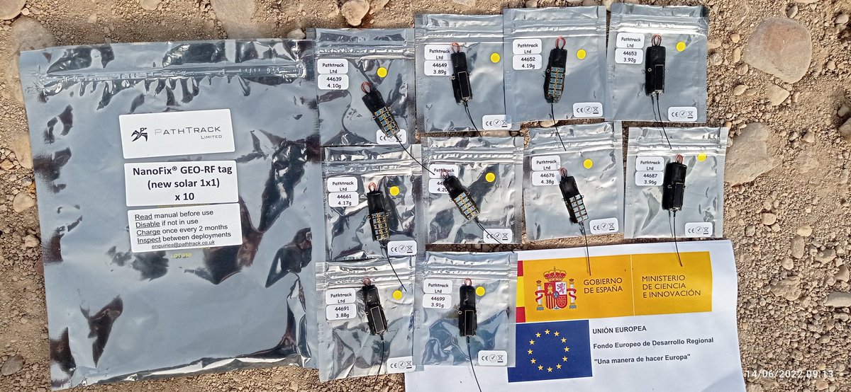 Proyecto HORUS (@horus_ebd) on Twitter photo Soon we will be starting a trip to Senegal to the lesser kestrel winter quarters. Do you want to come with us? <a href="/SUMHAL_CSIC/">Proyecto LifeWatch ERIC - Sumhal</a> <a href="/ebdonana/">Estación Biológica de Doñana - CSIC</a> <a href="/lifefalkon/">@lifefalkon</a> <a href="/SEO_BirdLife/">SEO/BirdLife</a> <a href="/miche_morganti/">Michelangelo Morganti</a> <a href="/cnr_irsa/">CNR IRSA</a> <a href="/CNRDTA/">CNR-DTA</a> <a href="/CNRsocial_/">CNR Consiglio Nazionale delle Ricerche</a> @La_Statale <a href="/ISPRA_Press/">ISPRA - Ist. Sup. Protezione e Ricerca Ambientale</a> @ornitologiki Soon we will be starting a trip to Senegal to the lesser kestrel winter quarters. Do you want to come with us? <a href="/SUMHAL_CSIC/">Proyecto LifeWatch ERIC - Sumhal</a> <a href="/ebdonana/">Estación Biológica de Doñana - CSIC</a> <a href="/lifefalkon/">@lifefalkon</a> <a href="/SEO_BirdLife/">SEO/BirdLife</a> <a href="/miche_morganti/">Michelangelo Morganti</a> <a href="/cnr_irsa/">CNR IRSA</a> <a href="/CNRDTA/">CNR-DTA</a> <a href="/CNRsocial_/">CNR Consiglio Nazionale delle Ricerche</a> @La_Statale <a href="/ISPRA_Press/">ISPRA - Ist. Sup. Protezione e Ricerca Ambientale</a> @ornitologiki