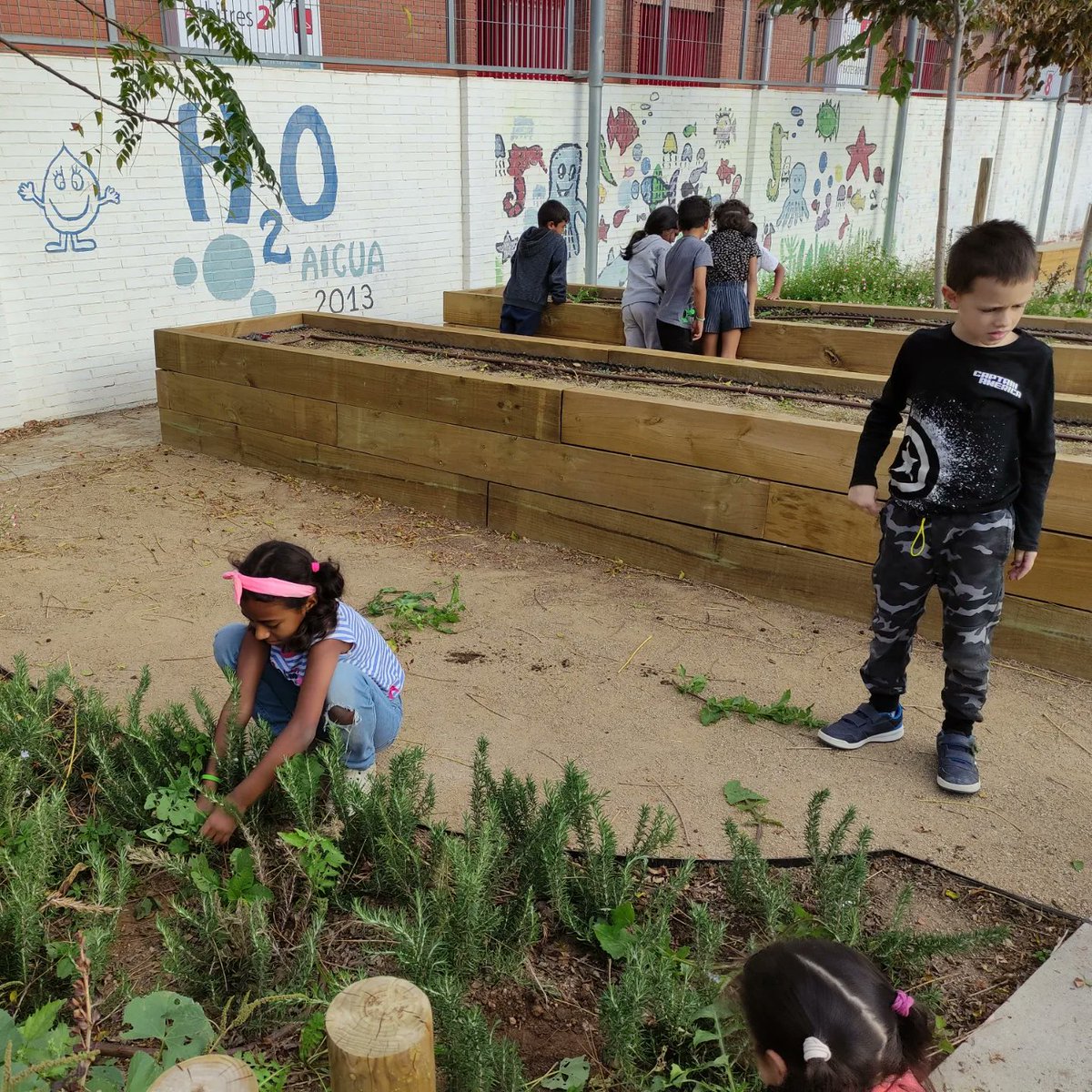 Escola Roser Capdevila tweet media