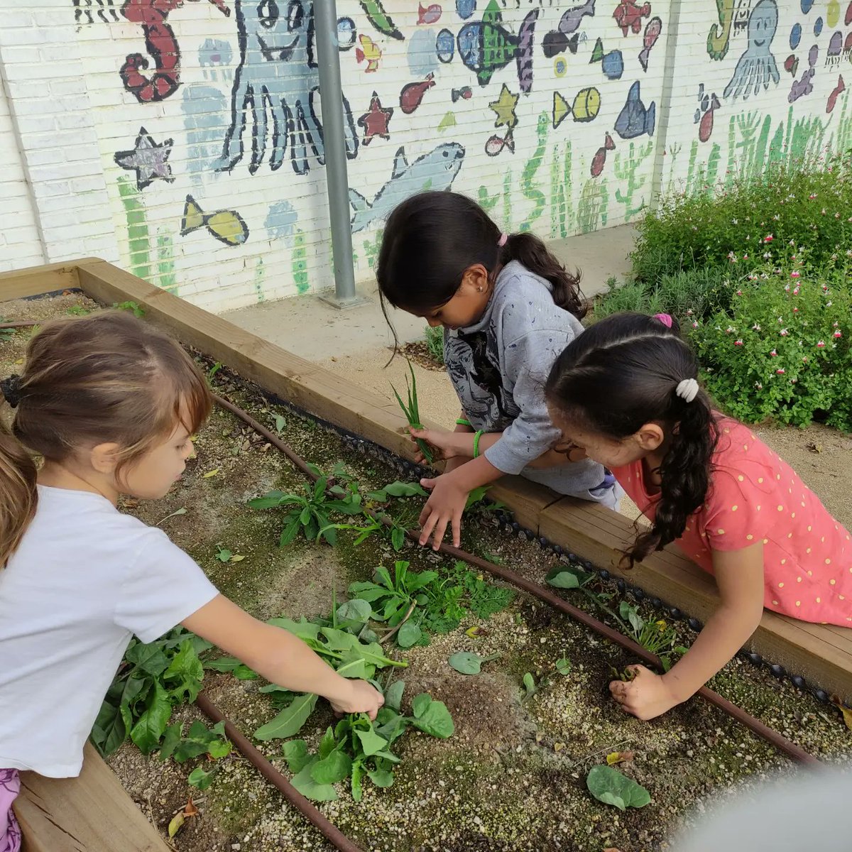 Escola Roser Capdevila tweet media