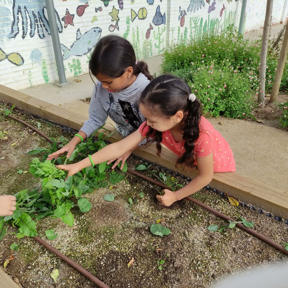 Escola Roser Capdevila tweet media