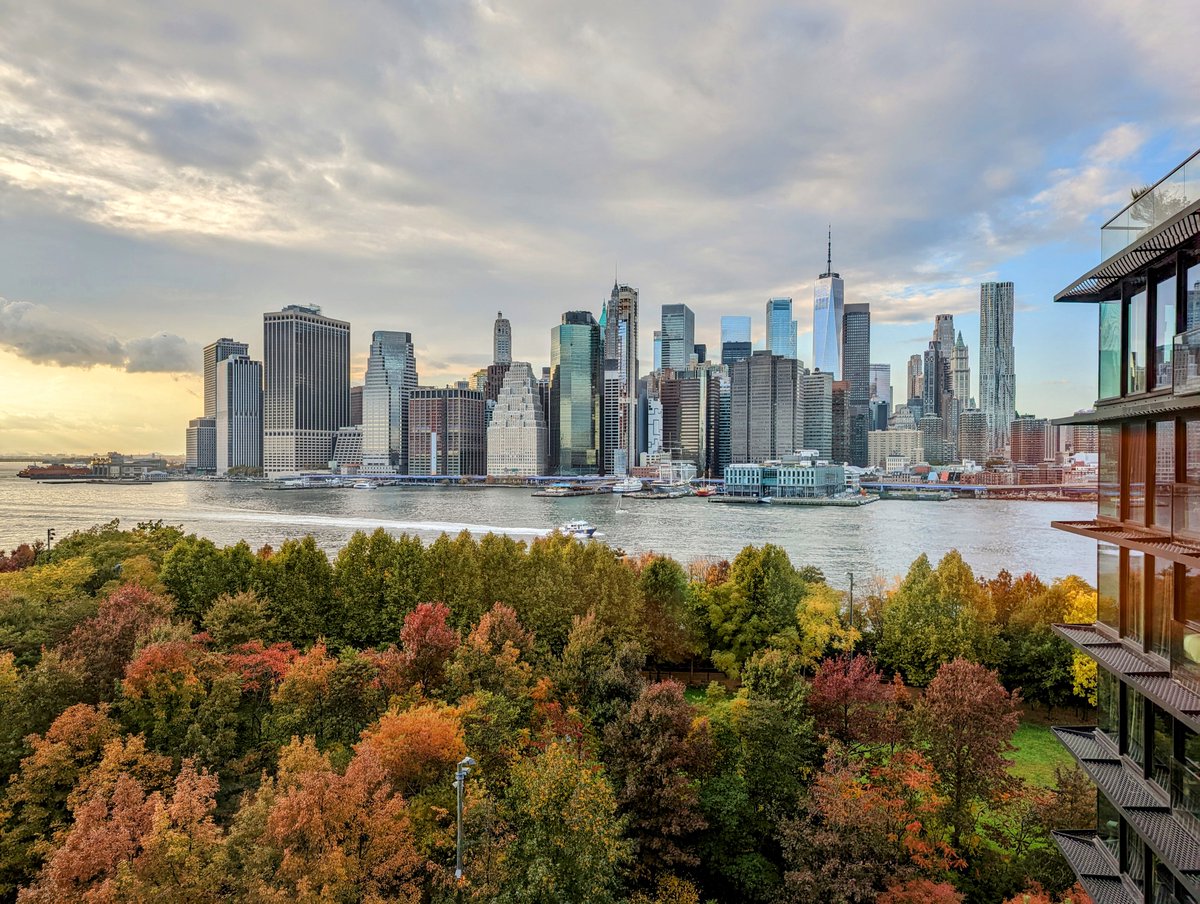 What a glorious week to be in NYC. I could wake up like this for a while. 😃🙏