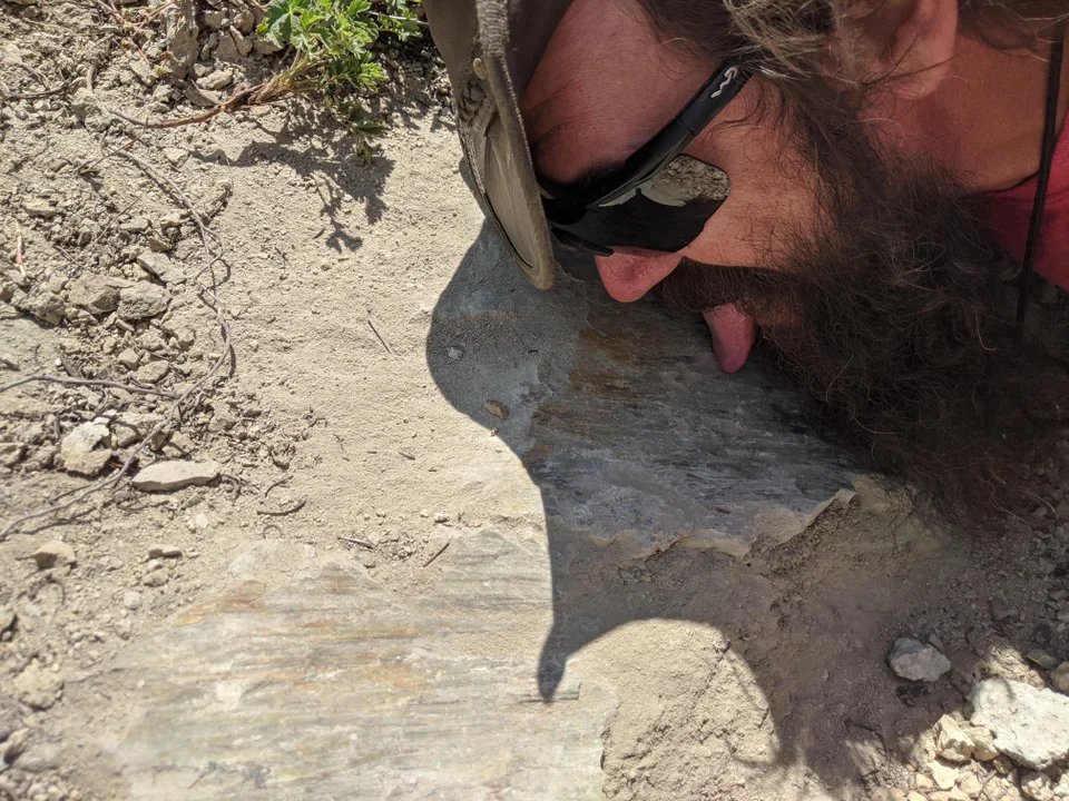 Geólogos chupando rocas.
Para saber lo que son.