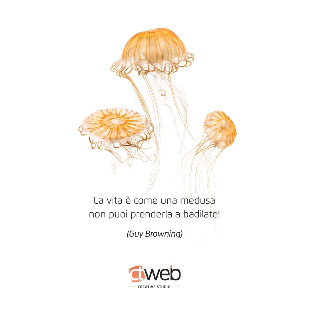 ctwebservice's tweet photo. 𝗚𝗜𝗢𝗥𝗡𝗔𝗧𝗔 𝗠𝗢𝗡𝗗𝗜𝗔𝗟𝗘 𝗗𝗘𝗟𝗟𝗘 𝗠𝗘𝗗𝗨𝗦𝗘

La vita è come una medusa, non puoi prenderla a badilate.
𝐺𝑢𝑦 𝐵𝑟𝑜𝑤𝑛𝑖𝑛𝑔

#sapevatelo #jellyfish #jellyfishday #ctwebcreativestudio #GraphicDesign #Webdesign https://t.co/vsWlM3f1fi