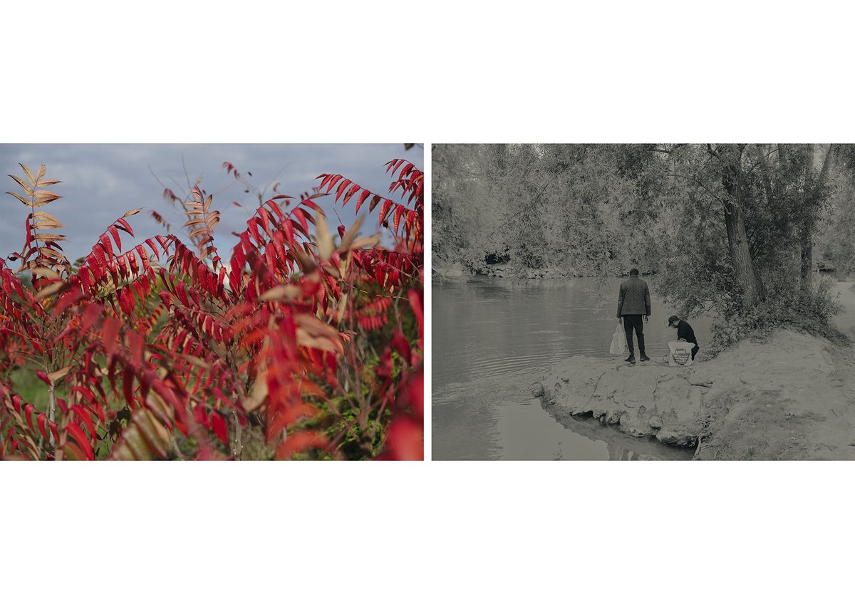 Nouveau projet photo pour le dpt de la Seine-St-Denis dans le cadre de la bourse Territoire(s) initiée par le InSeine  Saint-Denis. Commissariat : Raphaële Bertho Expo déb déc. 2022 / MC93 (Bobigny) #inseinesaintdenis @inseinesaintdenis <a href="/mc93bobigny/">MC93</a> #banlieue #grandparis