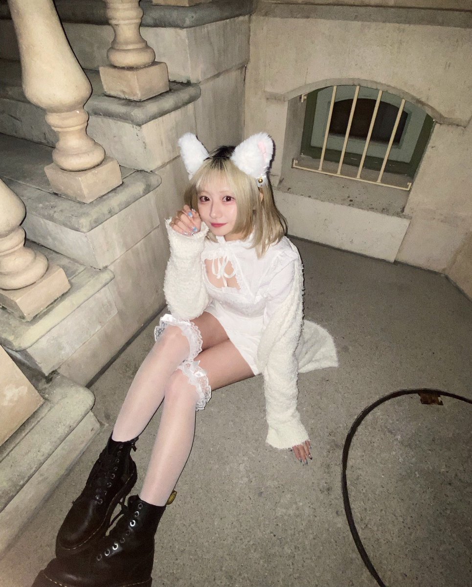 来世は猫希望で😸