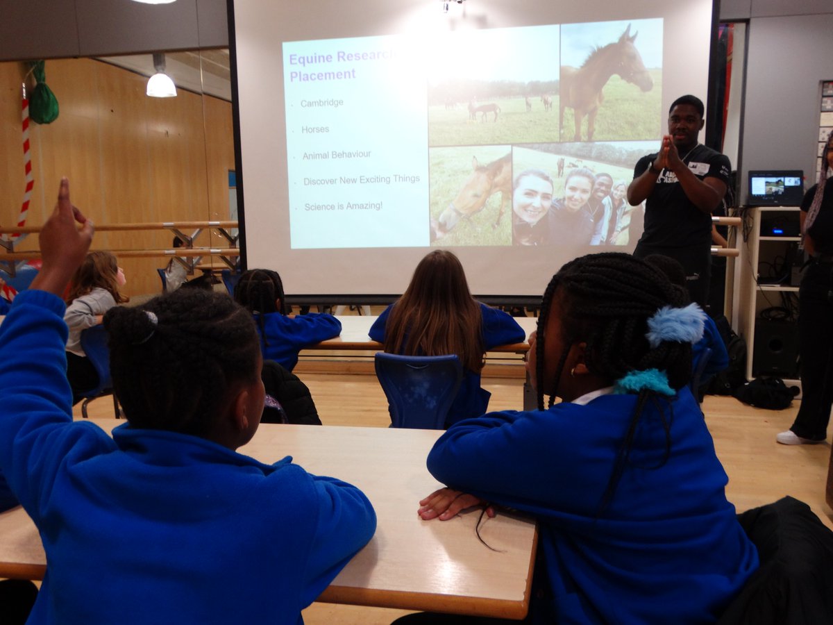 LAE Tottenham tweet media