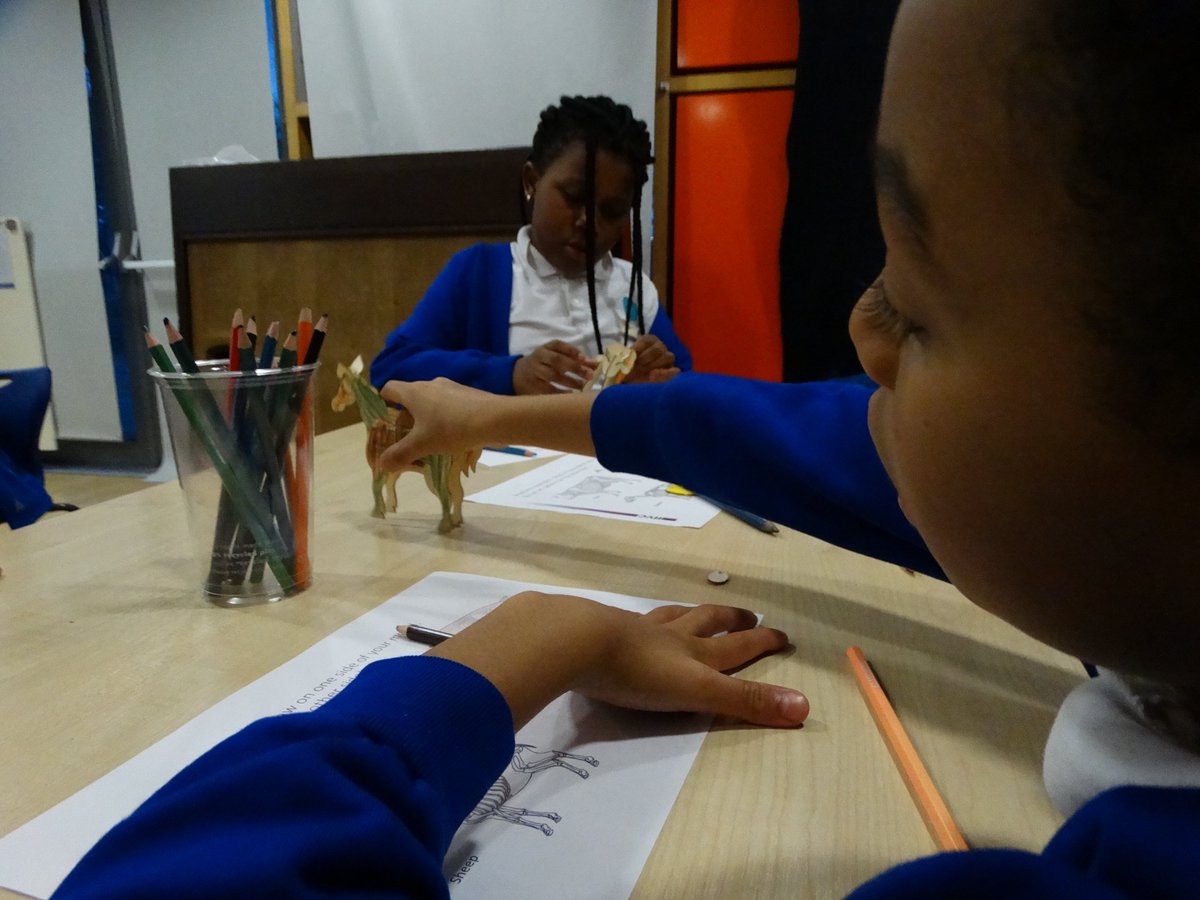 LAE Tottenham tweet media