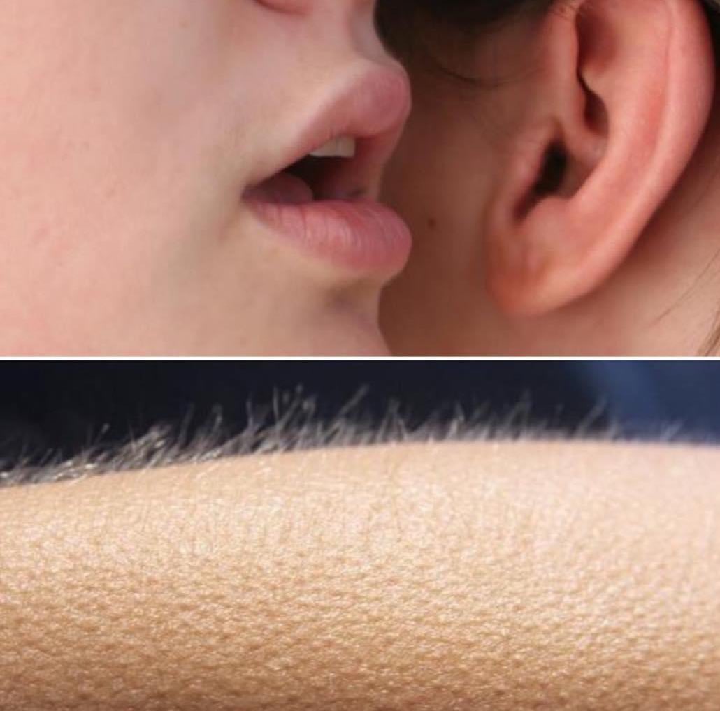 Rewka Dadčić tweet media