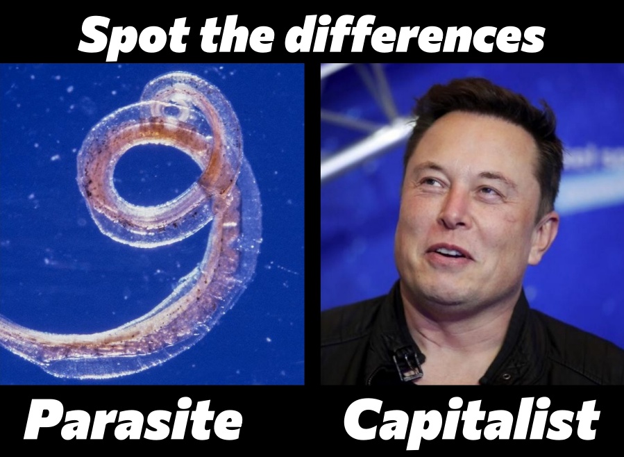 id_communism's tweet photo. In other news, arch-capitalist #ElonMusk plans to eliminate about 3,700 jobs at #Twitter. In #capitalism, a handful of parasites decide about the lives of the vast majority.
Solidarity with #Twitter workers! #ThisIsCapitalism https://t.co/B6x2KLii9L