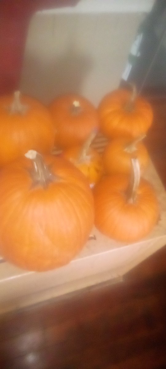 ReeferManRevie1's tweet photo. Okay so who wants to watch me explode some pumpkins? #ThingsThatMakeYouGoHmmm #MakingThingsGoBOOM !! https://t.co/viym3G3MPt