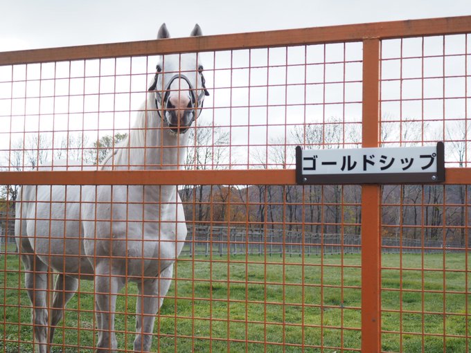 コスプレイヤー琥珀のTwitter画像10