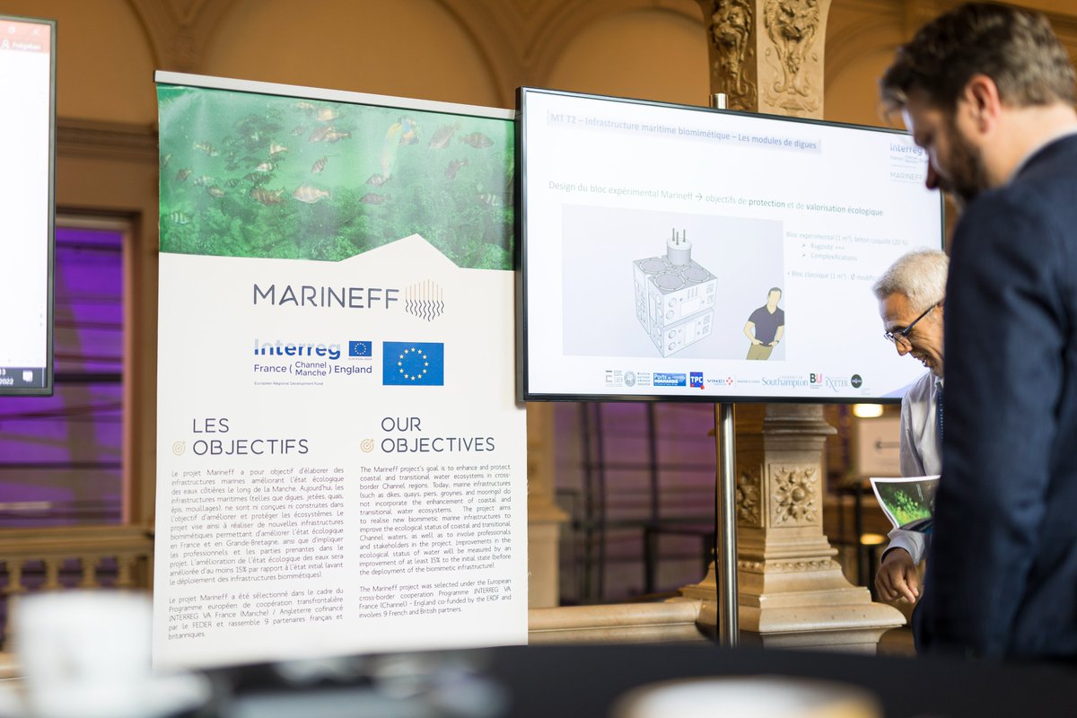 Marineff Project tweet media