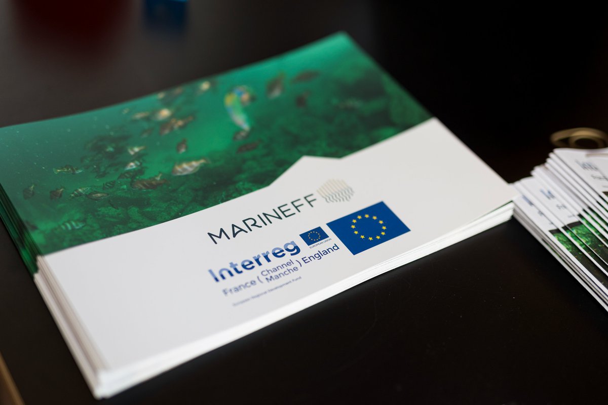 Marineff Project tweet media