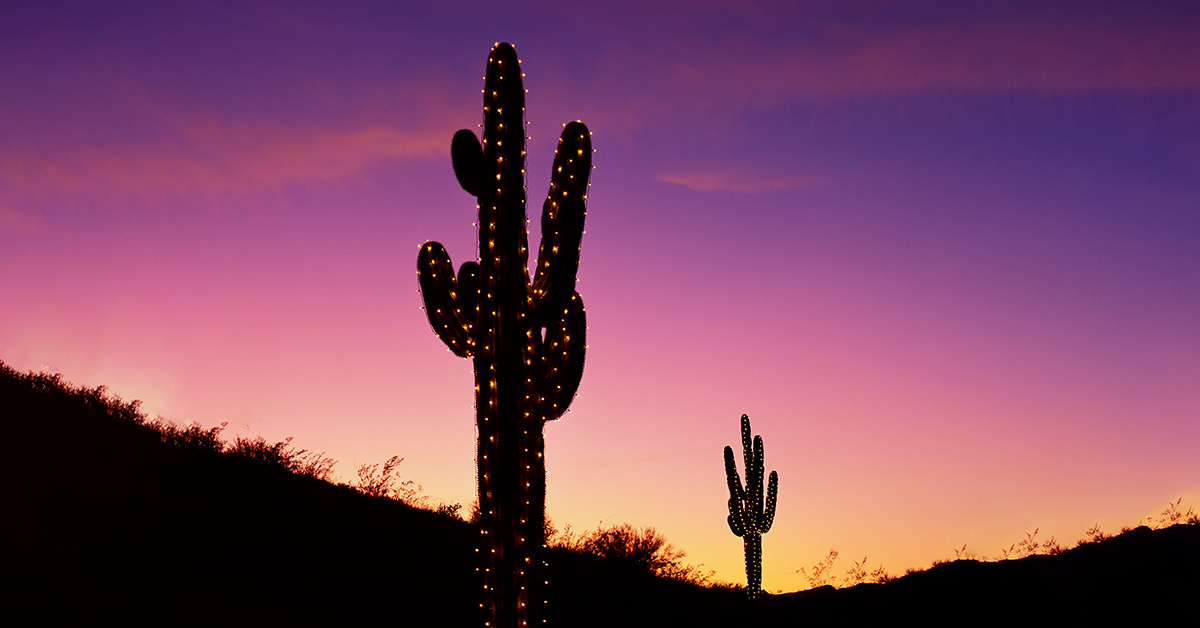 FlySwoop tweet media