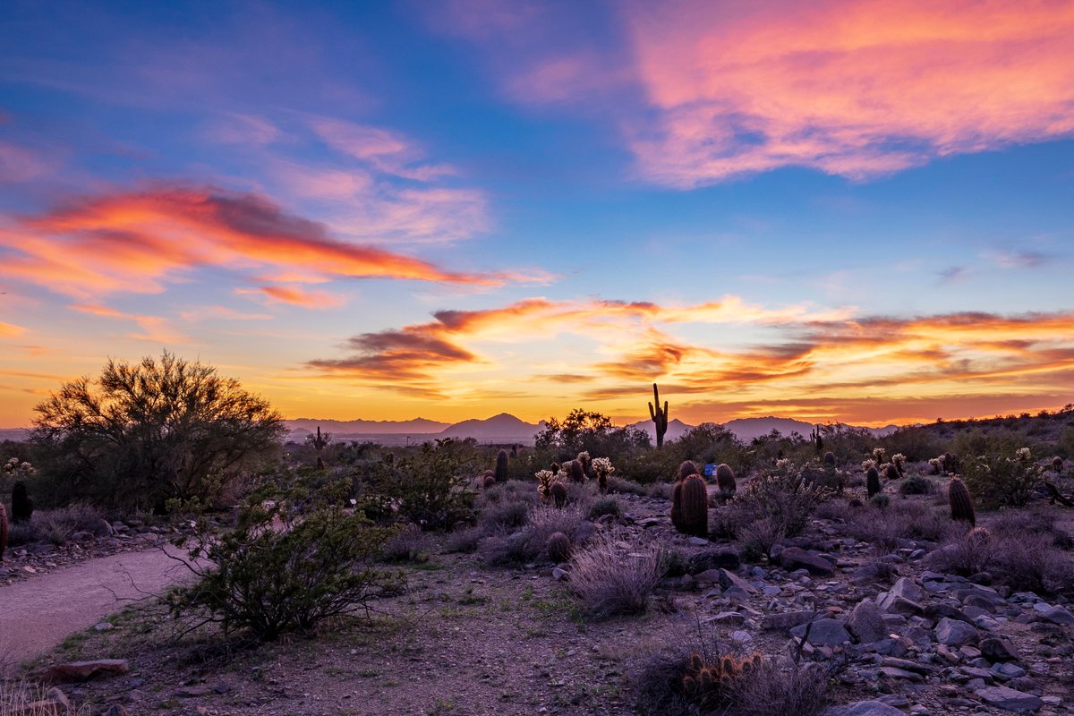 FlySwoop tweet media