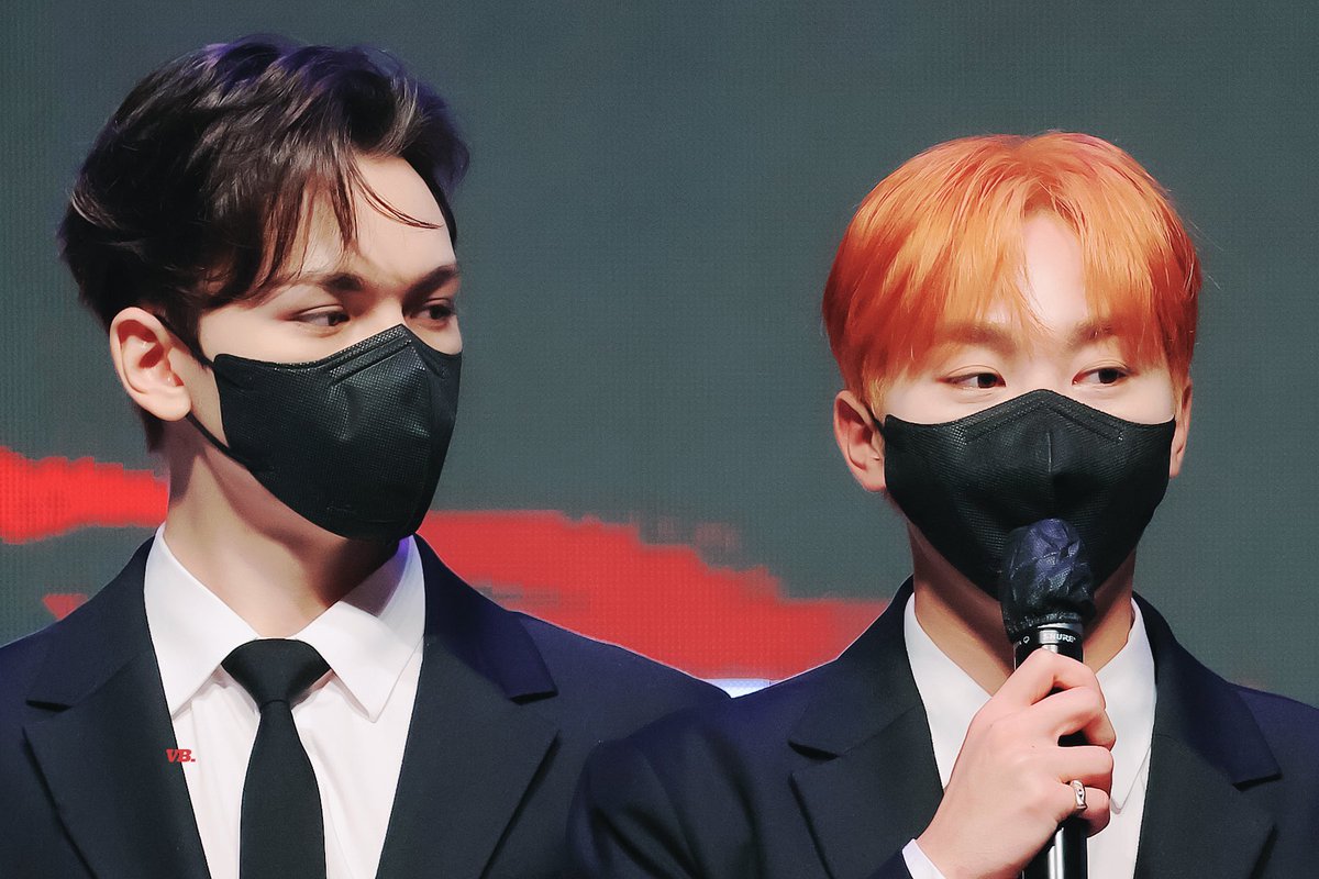 내 진짜 이런 말 그만 할라 햇는데 애 울겟다...귤 멍들겟다...